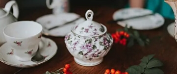 山茶原产中国。喜温暖、湿润和半阴环境