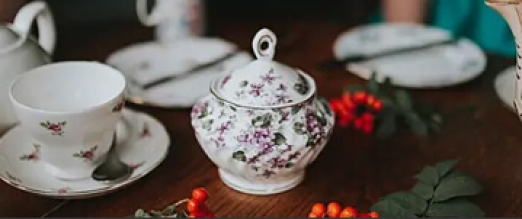 山茶原产中国。喜温暖、湿润和半阴环境